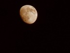 Fuji FinePix S5000