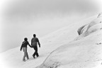 Camminando Insieme
