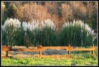 Paesaggio