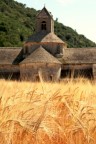 L'abbazia cistercense di Notre-Dame di Snanque  posizionata in fondo ad un canyon tra i monti Vaucluse
