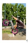 Trial