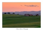 The old farm