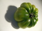 POMODORO