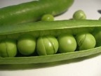 PISELLI