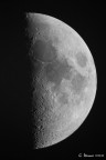 Half Moon