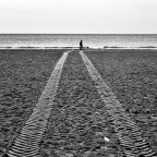 Impronte..........