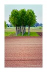 dittico naturale