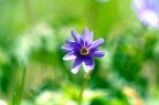 1/1000 - f/8 - ISO 400