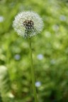 La solitudine