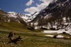 Ciao a tutti come sempre,molto graditi commenti e critiche per migliorarmi