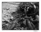 legna accatastata a margine di un sentiero
