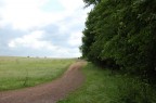 viale