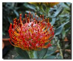 Il rosso e il giallo