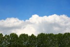 Dalla terra al cielo