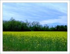 blu giallo verde