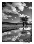 ...RIFLESSI..