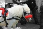Foto a colori modificata in maschera B/N.
Che ne pensate