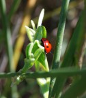 commenti e critiche molto ben accetti perch non sono esperto
nel macro!!!