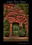 3 scatti elaborati con cs3,un saluto a tutti..
ciao