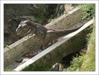T-Rex...