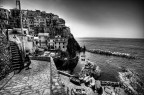Manarola B&amp;W