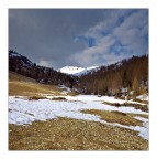 Paesaggio Quadrato