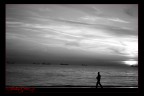solitario