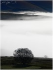 ... e' un luogo che frequento spesso,ma ogni volta e soprattutto con la nebbia mi da la sensazione di essere magico e misterioso ....