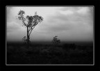 B&amp;W storm