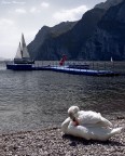Uno scorcio del Lago di Garda
