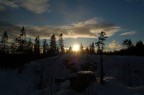 Foresta Norvegese