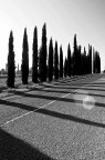 Il riflesso non l'ho fatto venire di proposito ma poi ho preferito non toglierlo.