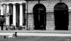Disteso sul prato