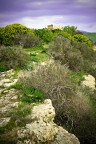 Valle dei Templi