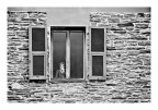 at the window