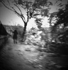Autumn Leavs
