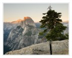 YNP