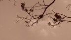 C'era vento...vento di tempesta...