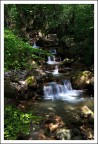 Cascate