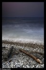 SEA DREAM
