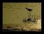Incontro col Cavaliere Nero
