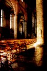 HDR + Dragan