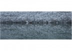 Specchio di neve