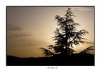 Tramonto Piacentino
