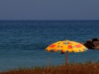 Solitario...
