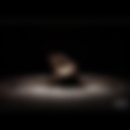 SPOTLIGHT! SPOTLIGHT!