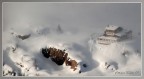 Sole ,neve e nebbia