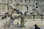 Velocit di scatto elevata per fermare l'acqua e i piccioni.
Reflex Yaschica F105 in manuale.