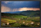 Canon 5D mark II - Tamron 28-75 - 75mm - f/8 - ISO200 - exp. 1/125