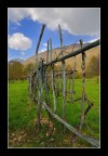 la vigna